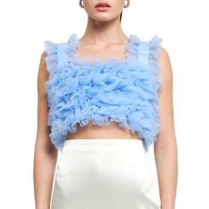 Endless Rose tulle crop top